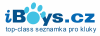 iboys-logo1.gif